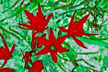F 038B